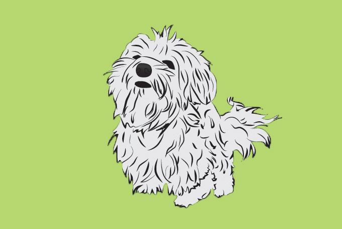 680x455 Maltese Dog Free Vectors Ui Download