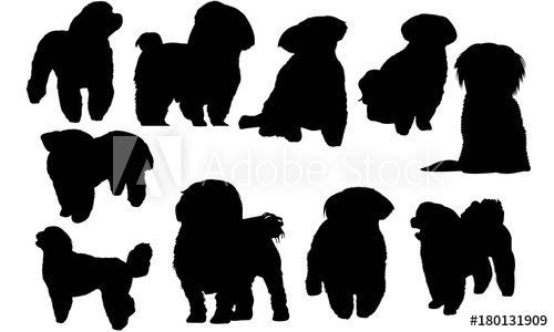 500x300 Maltese Dog Silhouette Vector Graphics