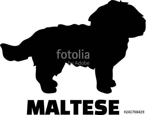 500x394 Maltese Silhouette Black Stock Image And Royalty Free Vector
