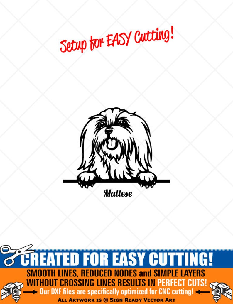 794x1036 Peeking Maltese Dog Clipart Vector Clip Art Graphics Digital Etsy