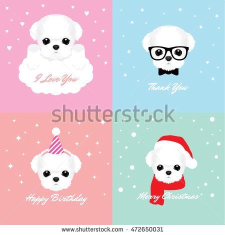 450x470 Vector Illustration Portrait Of Maltese Puppy Dog Cards