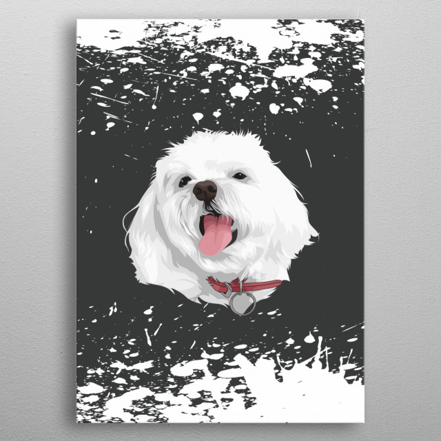 640x640 Cute Vector Dog Maltese