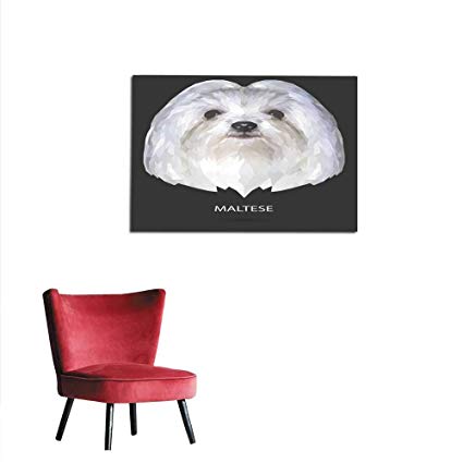425x425 Homehot Photo Wall Paper Maltese Vector Mural