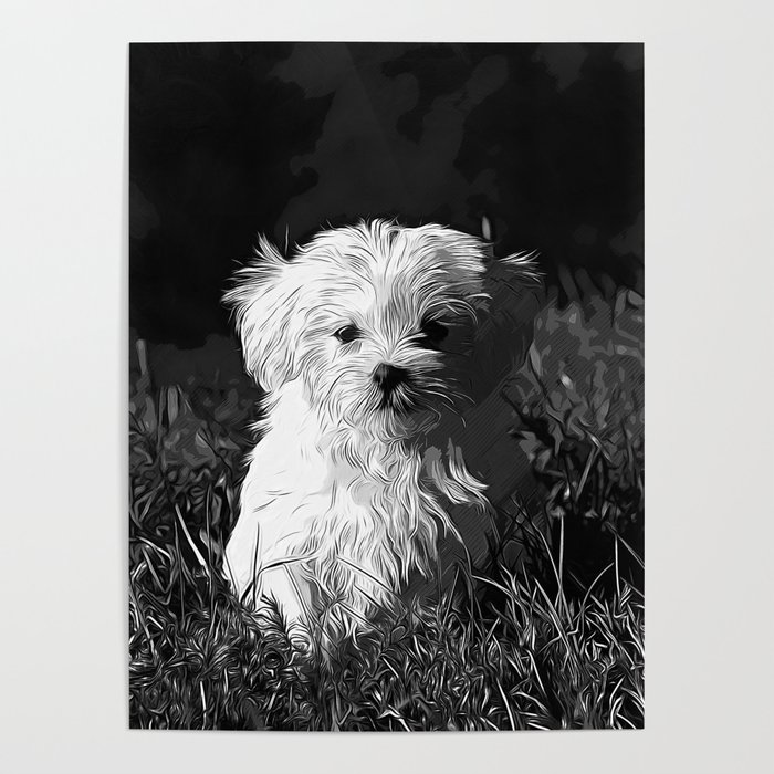 700x700 Maltese Dog Vector Art Black White Poster