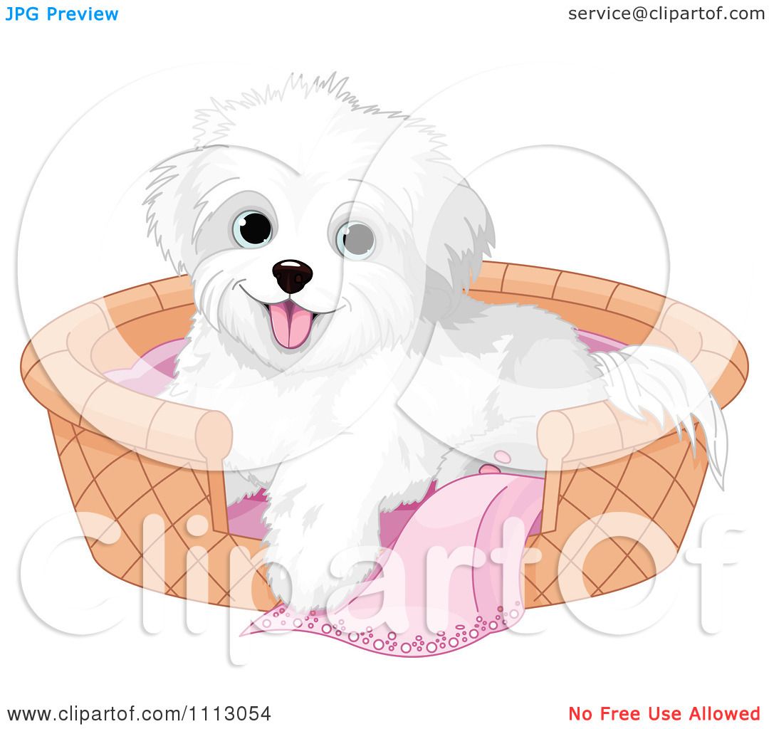 1080x1024 Clipart Of A Cute Green Puppy Dog Animal Face Avatar Or Icon
