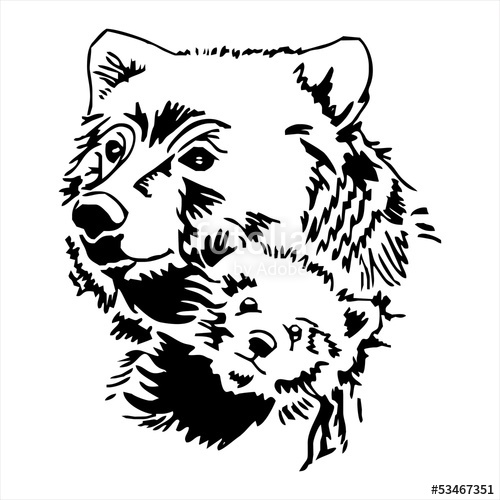 500x500 Mother And Baby Bear Head Tattoo Vector Stock Image And Royalty
