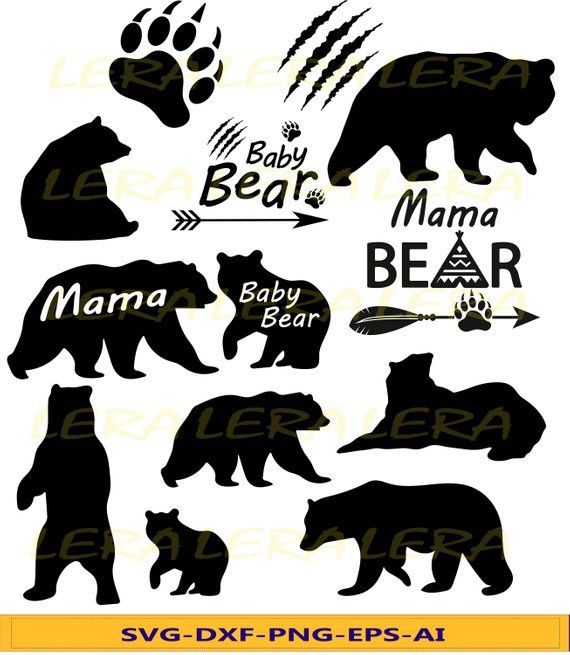 570x655 Bear Baby Bear Bear Paw Mama Bear Bear