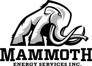 300x215 Mammoth Energy Services Logo Vector