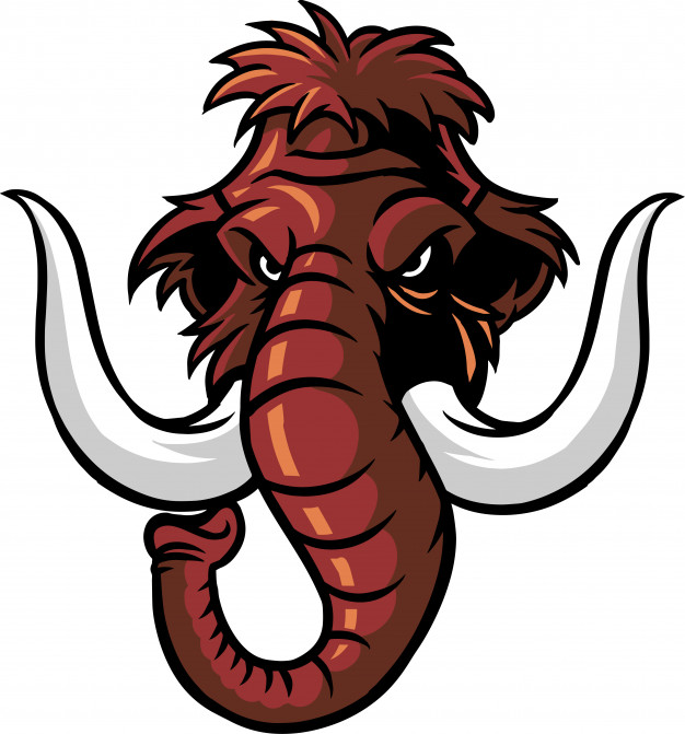 626x671 Mammoth Vector Premium Download
