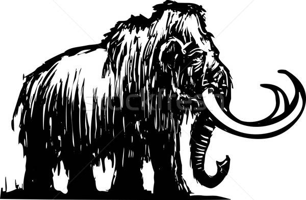 600x394 Mammoth Vector Illustration Jeffrey Thompson