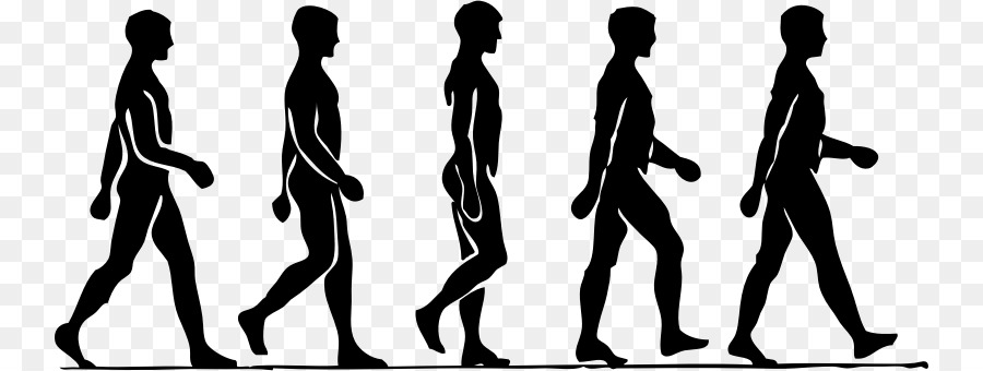 Person Cartoon Clipart 900x340 Person Cartoon Clipart