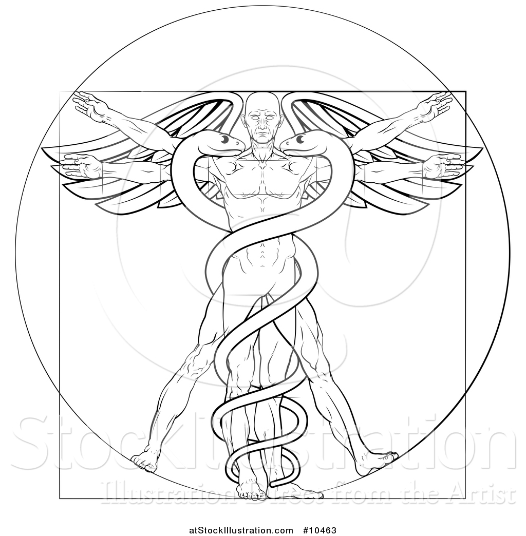 1024x1044 Vector Illustration Of A Black And White Leonard Da Vinci