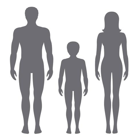 490x490 Vector Illustration Of Man, Woman And Child Body Proportions