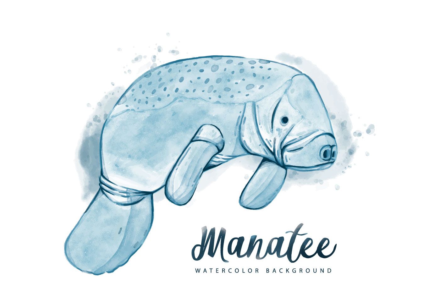1400x980 Free Manatee Watercolor Background Art Free Vector Art