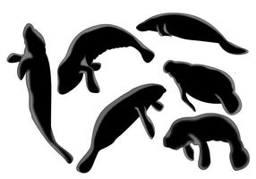 286x200 Manatee Free Vector Art