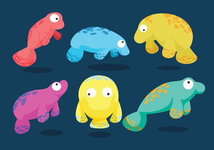 700x490 Manatee Vector Plan Vector Art, Manatee, Art