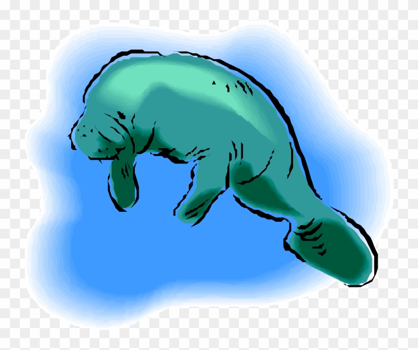840x704 Manatee Clipart Vector Illustration For Free Download And Use