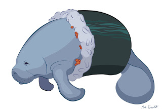 320x215 Matt Greenholt Manatee Vectors