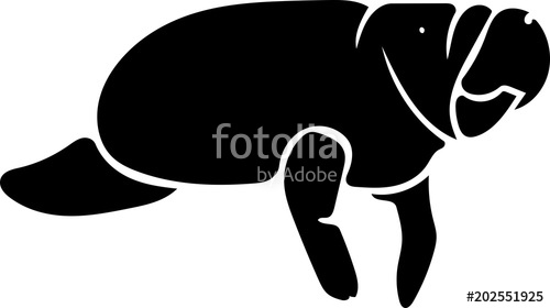 500x280 Manatee Stock Image And Royalty Free Vector