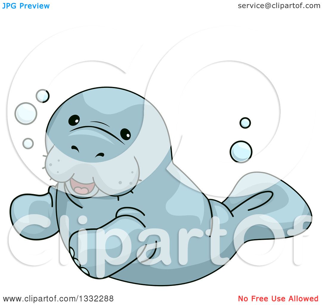 1080x1024 Clipart Of A Cute Manatee Swimming