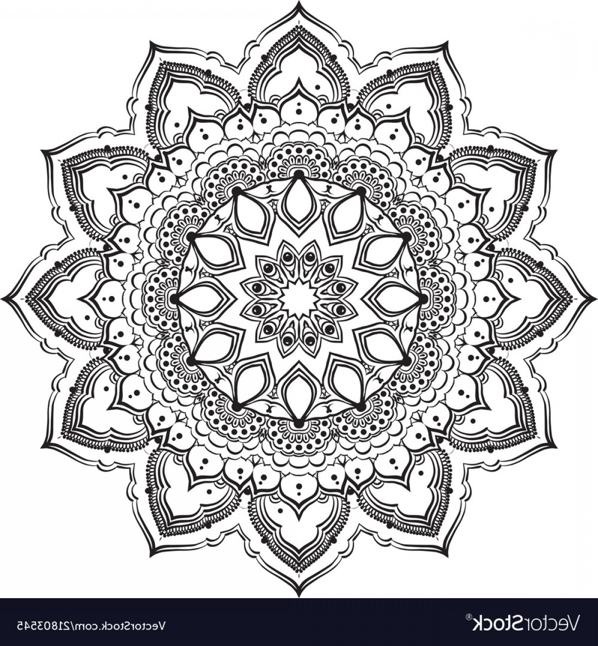 1200x1296 Drawing Of Floral Round Lace Mandala Vector Handandbeak
