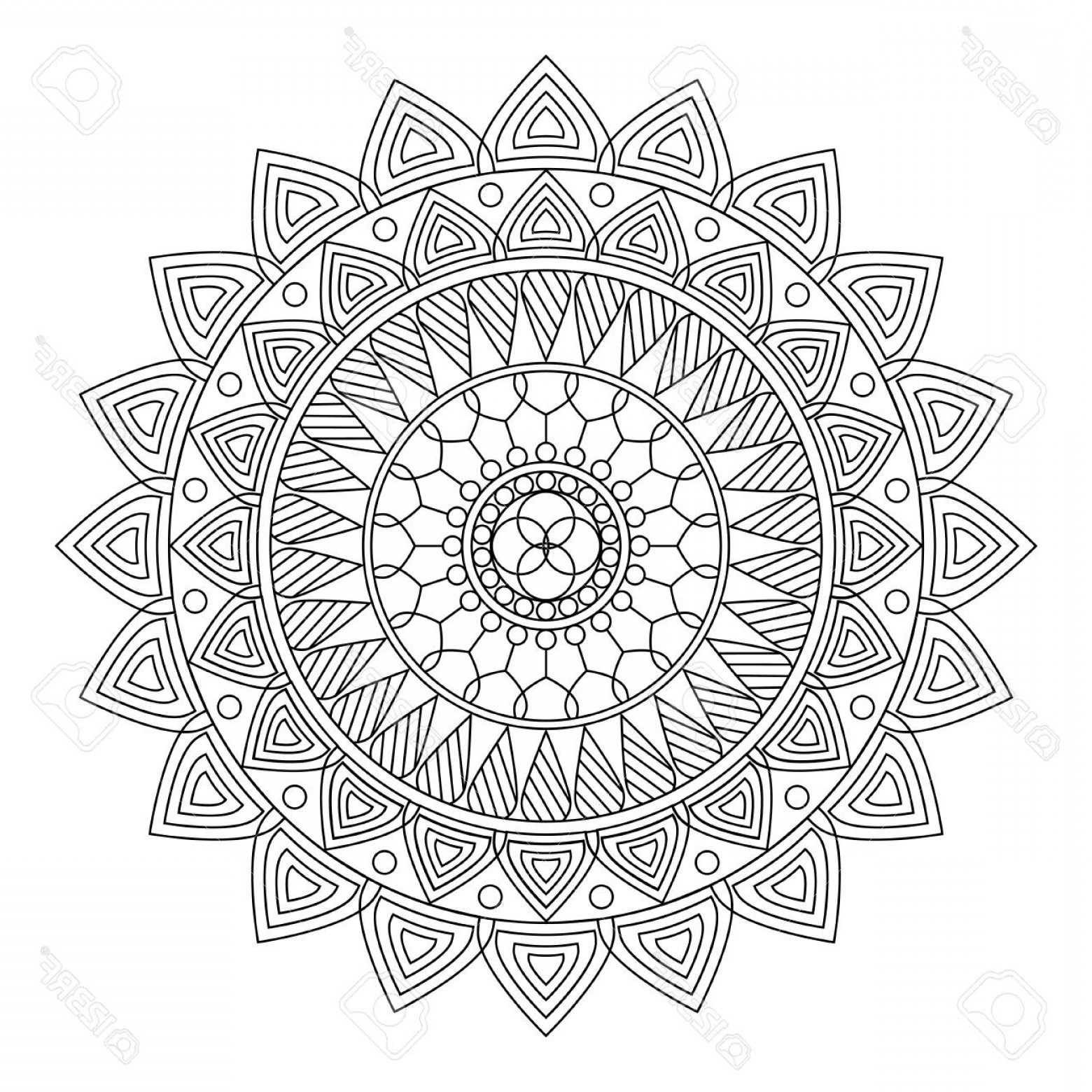 1560x1560 Photostock Vector Floral Mandala Vector Illustration Cqrecords