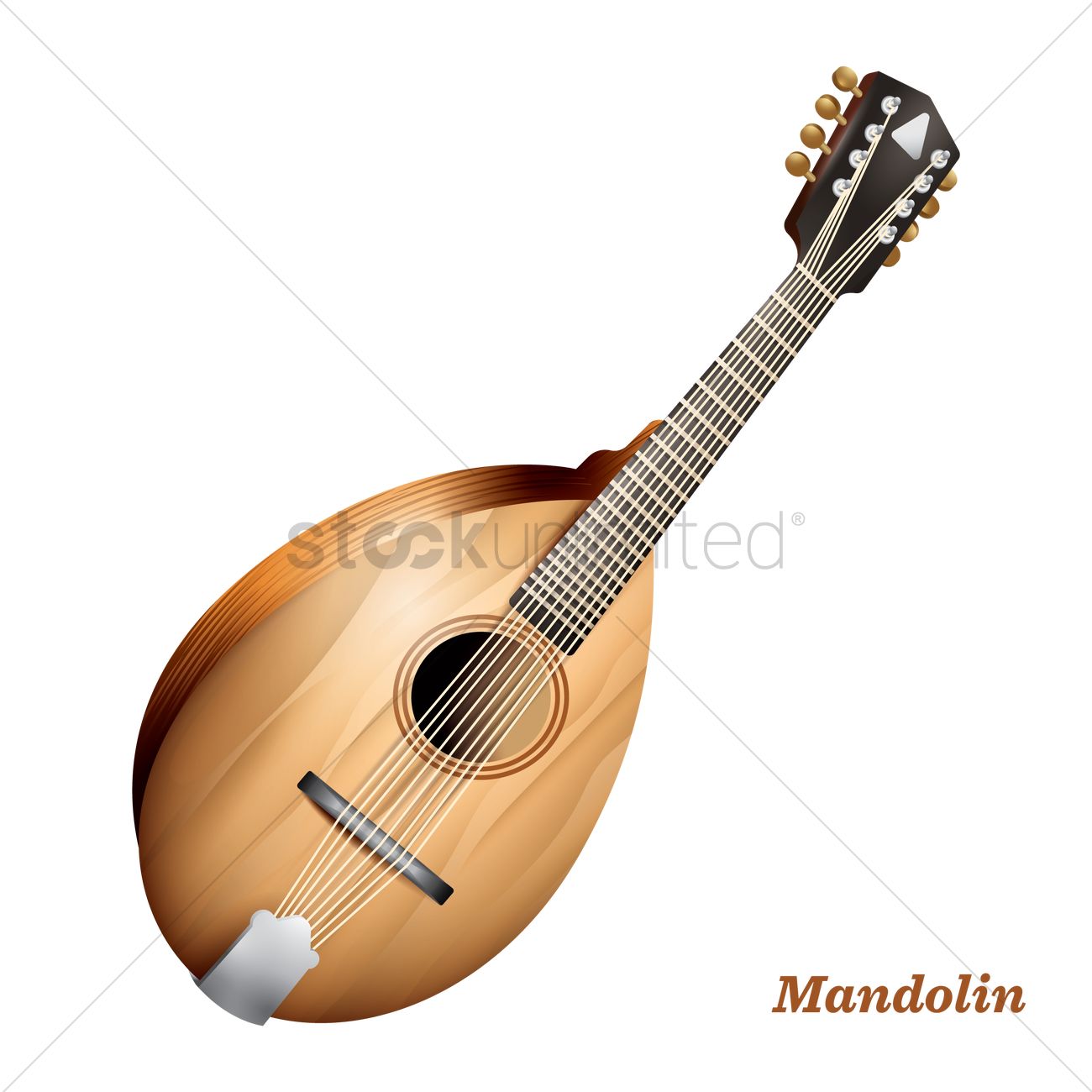 1300x1300 Mandolin Vector Image