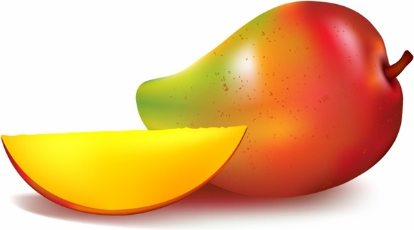 600x333 Mango Vector Free Vector Download