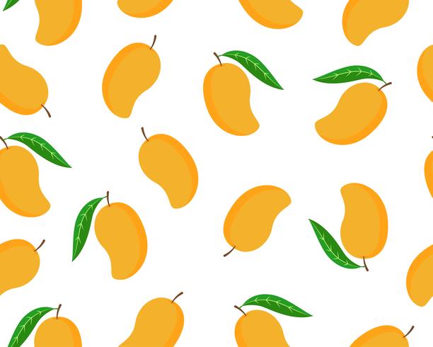 612x490 Seamless Pattern Of Ripe Mango Isolated White Background