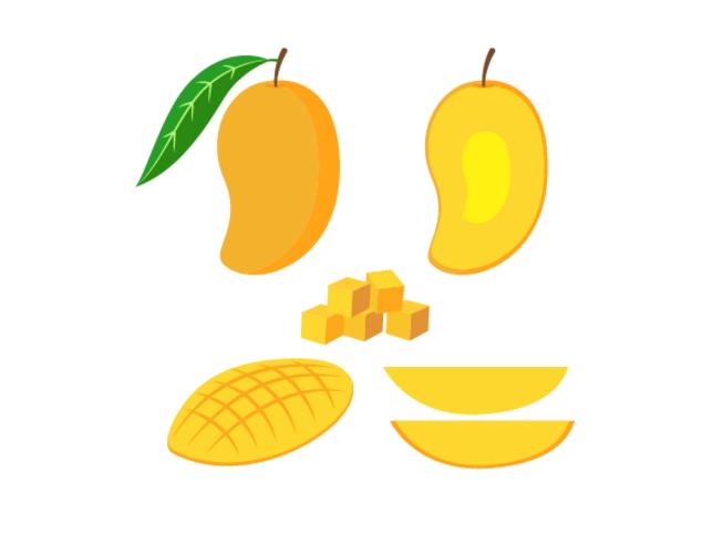 653x490 Vector Illustration Of Set Fresh Mango Isolated On White