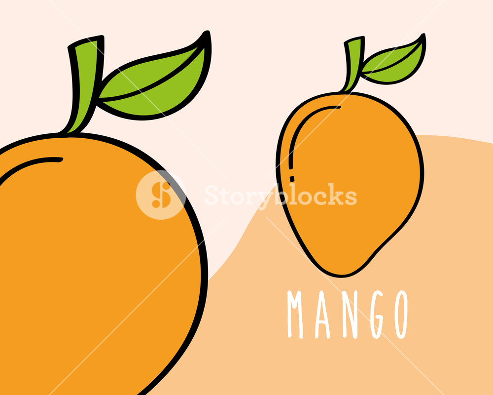 1000x800 Mango Fruit Tropical Fresh Natural On Colored Background Vector