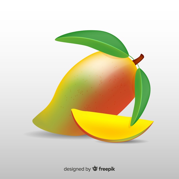 626x626 Hand Drawn Mango Background Vector Free Download