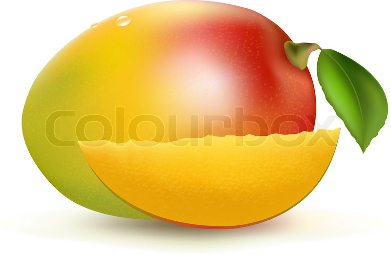 800x522 Mango, Isolated On White Background, Stock Vector Colourbox