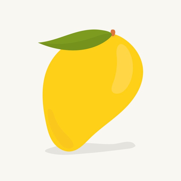 626x625 Mango Vectors, Photos And Free Download