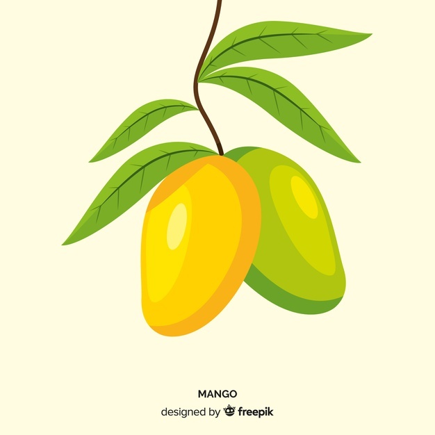 626x626 Mango Vectors, Photos And Free Download