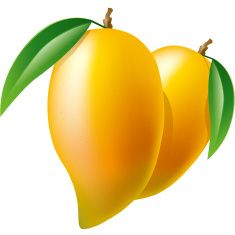 235x235 Mango Vector Art Illustration Project
