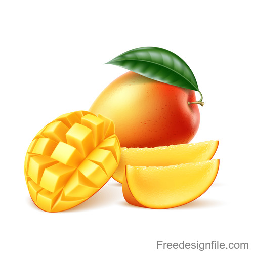 500x500 Fresh Mango Vector Illustration Material Free Download