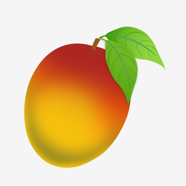 640x640 Mango Vector, Mango, Fruit, Fruits Png Transparent Clipart Image