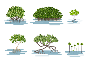 286x200 Mangrove Free Vector Art