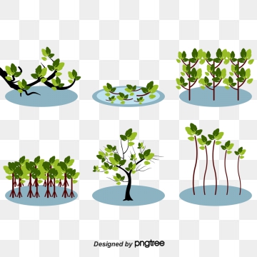 360x360 Mangrove Png Images Vector And Free Download