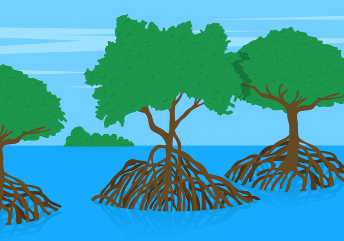 700x490 Mangrove Tree Vector Lanscape Free Vectors Ui Download