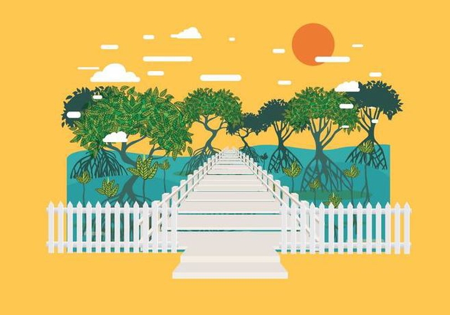 632x443 Boardwalk In Mangrove Forest Vector Free Vector Download