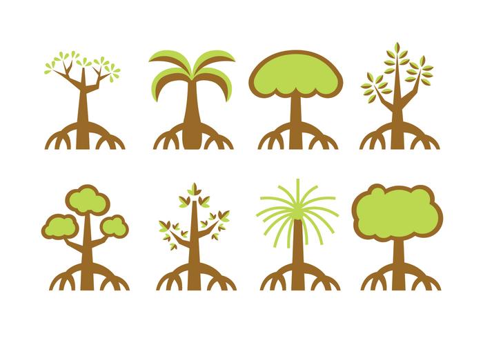 31 Mangrove vector images at Vectorified.com