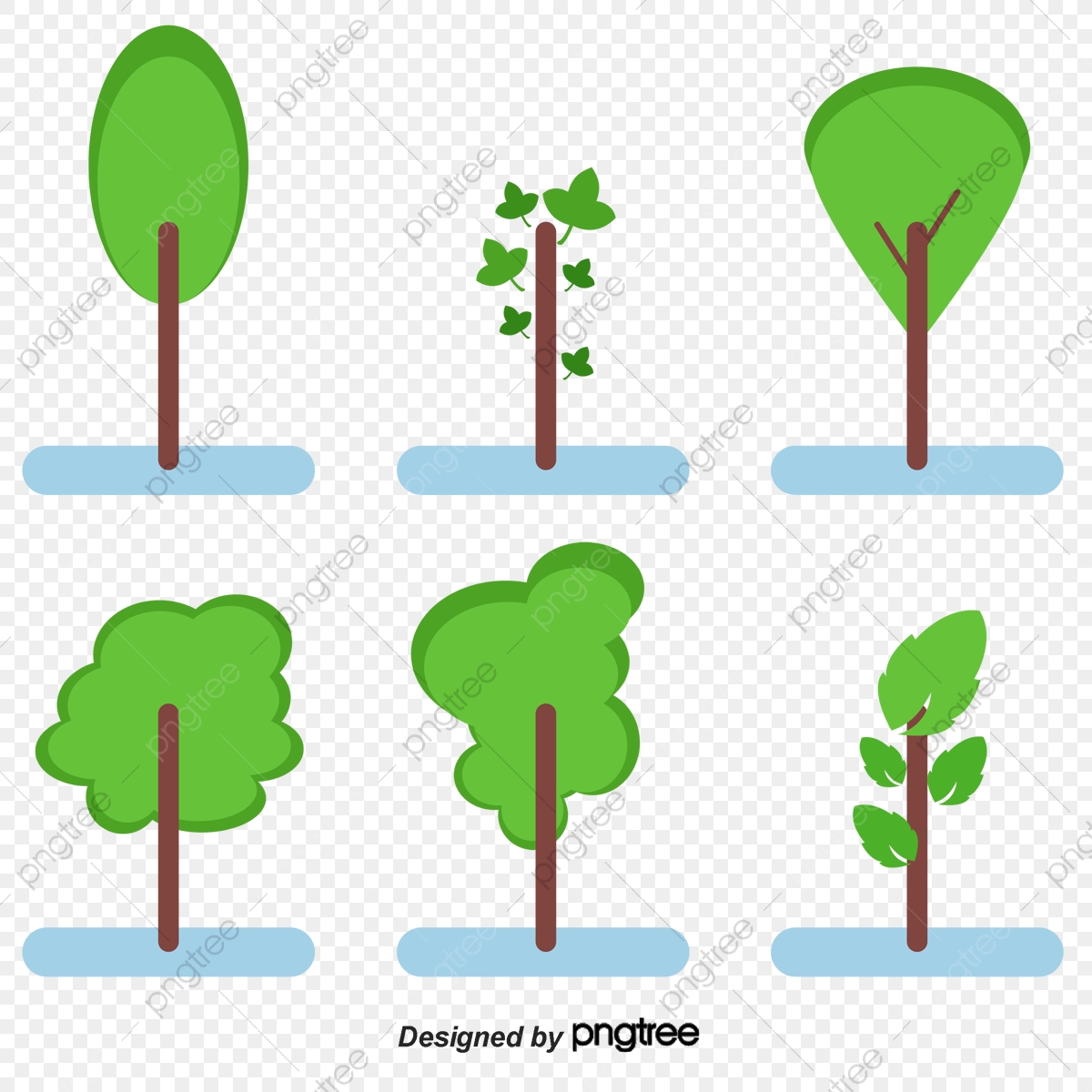 1200x1200 Vector Mangrove, Anti Cancer, Mangrove Forest, Seaside Png