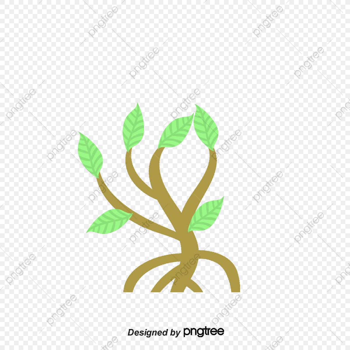 1200x1200 Vector Mangroves, Sw Anti Cancer, Mangrove Forest Png