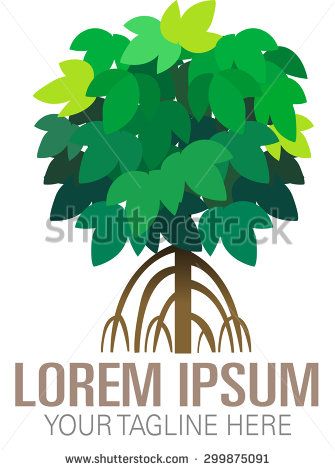 335x470 Vector Mangrove Forests As A Symbol Or Logo Environmental