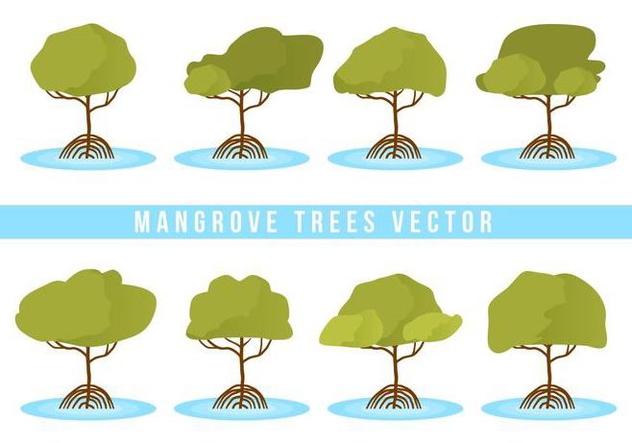 632x443 Free Mangrove Trees Vector Free Vector Download Cannypic