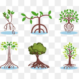260x260 Mangrove Forest Clipart