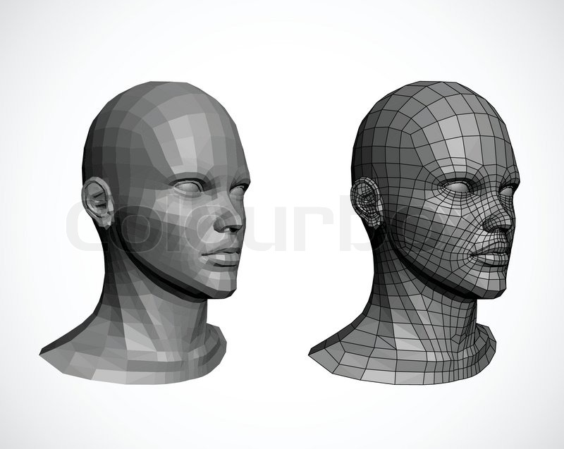 Female Heads Vector Stock Vector Colourbox 800x637 Female Heads Vector Stock Vector Colourbox