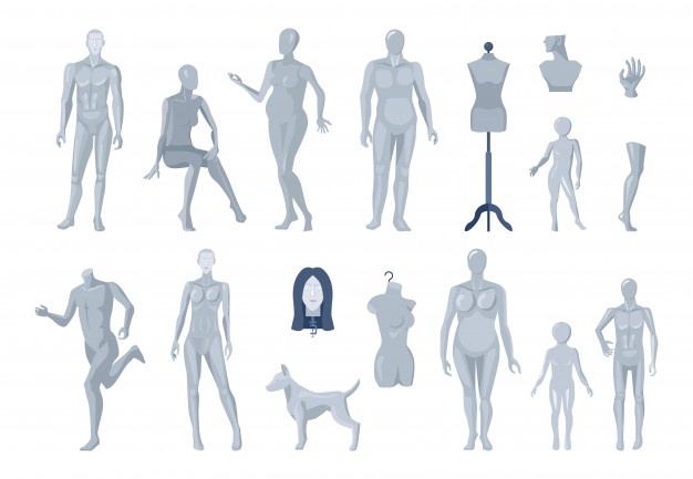 626x433 Mannequin Vectors, Photos And Free Download
